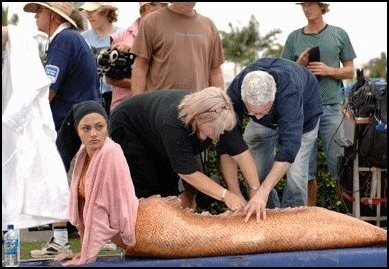 Obrazek